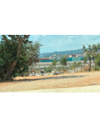 Pedimos limpieza en les Olivaretes