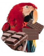 El chocolate del loro