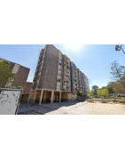 Dicen llevar 45 años hablando con Can Palmer. Pues no han resuelto nada