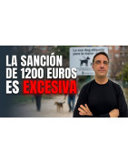 1200 Euros de multa por el pipi o la caca de tu mascota
