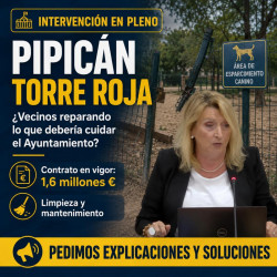 Pedimos explicaciones por el estado del pipicán de Torre Roja