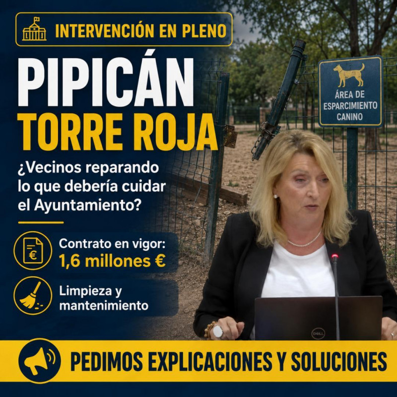 Pedimos explicaciones por el estado del pipicán de Torre Roja