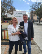 Mañana del domingo entretenida