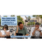 La respuesta parece un chiste: Pedimos un plan serio para el control de palomas en Viladecans