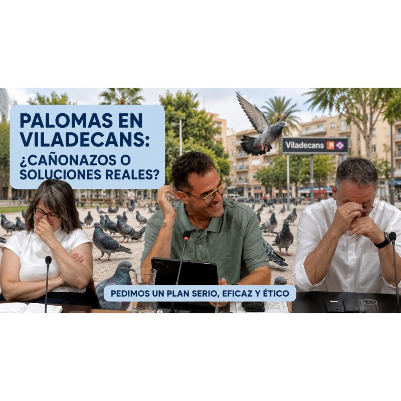 La respuesta parece un chiste: Pedimos un plan serio para el control de palomas en Viladecans