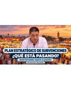 Plan Estratégico de Subvenciones: pedimos revisarlo a fondo