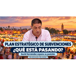 Plan Estratégico de Subvenciones: pedimos revisarlo a fondo
