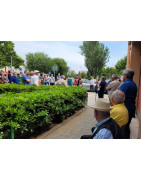 Síndico: caliente y salga a jugar