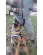 Nuestro compromiso con Viladecans: Seguridad. Viladecans será el municipio más seguro del entorno