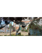 Preguntamos al Equipo de Gobierno por la situación judicial del Casino de Alba-Rosa: "manzanas traigo"