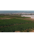 Apoyamos a nuestros agricultores del Parque Agrario