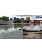 Las medidas contra la sequía llegan tarde