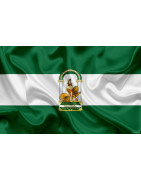 Acompañamos a las entidades andaluzas en la celebración del Día de Andalucía