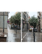 Pedimos que revise la poda de las plantas arbustivas de Viladecans