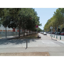 La sombra del Paseo de la Marina, la mayor parte del dia, es para bicicletas y no para los peatones