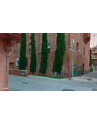 Discriminación con las cámaras de seguridad