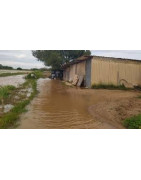 Els nostres agricultors es mereixen que els ajudem: presentem dues propostes en el Parlament