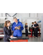 Adaptar la FP a las necesidades de las empresas