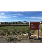 El acuerdo con Mercosur afecta a nuestros agricultores, pero puede ser una oportunidad