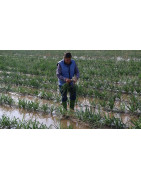 Soplar y sorber a la vez