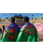 Plan Integral del Pueblo Gitano con desidia y sin soluciones