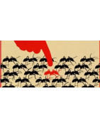 Nombramientos extraños