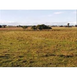 Resolverían muchos problemas haciendo cumplir la obligatoria reserva de espacios deportivos en las promociones...