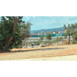 Pedimos limpieza en les Olivaretes