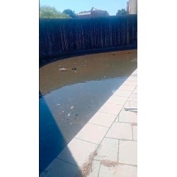 Pedimos que se limpie la fuente de la Plaza Mediterrania