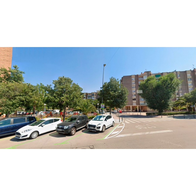 Presentamos en el pleno una propuesta para mejorar la vida en Can Palmer