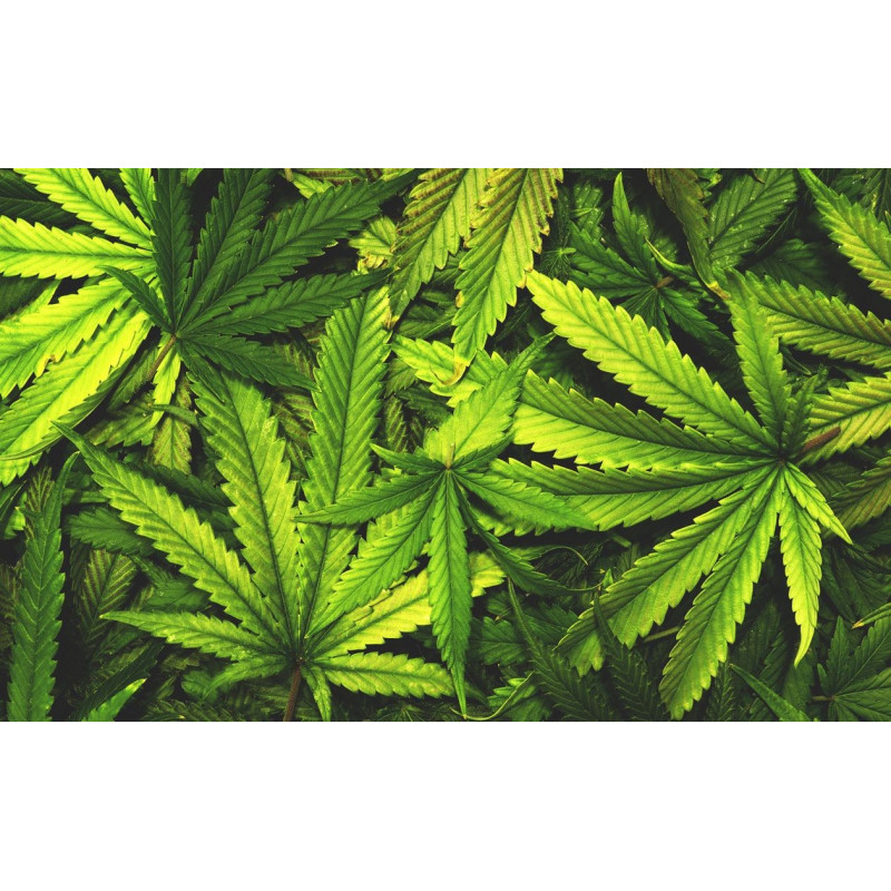 Dicen que las cosas no son lo que son