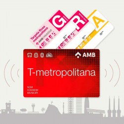 Ponen en marcha servicios sin tener informes que los avalen