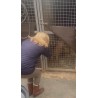 Nuestro compromiso con Viladecans: Centro de acogida para animales de compañía