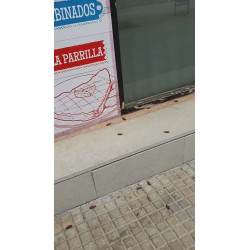 Los concejales del equipo...